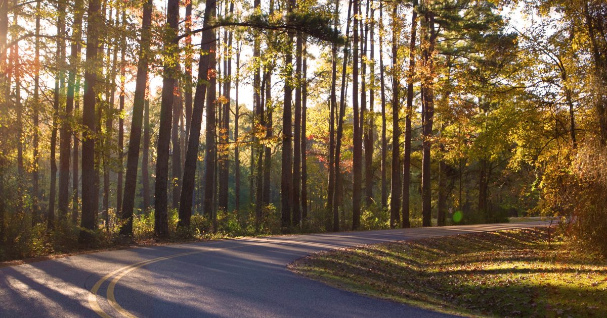 Natchez Trace Parkway | Visit Tupelo